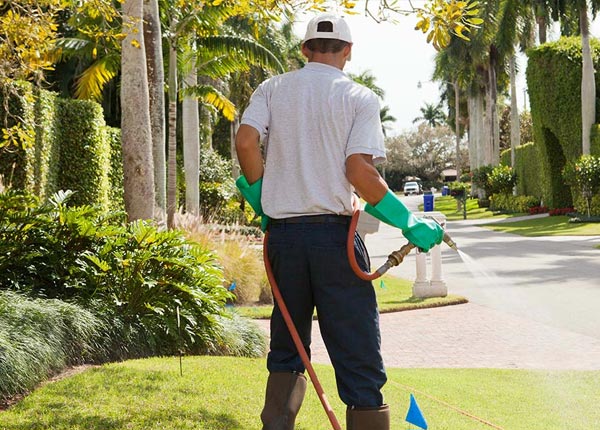 About Delmar NY Pest Control